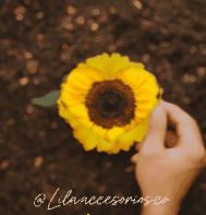🌻Collar Girasol giratorio🌻Baño oro 18k
